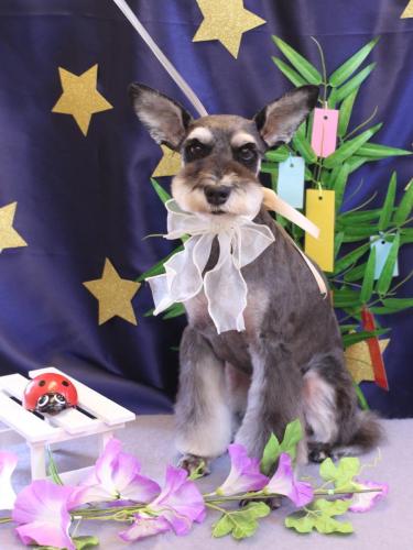 20230708ニーナちゃん